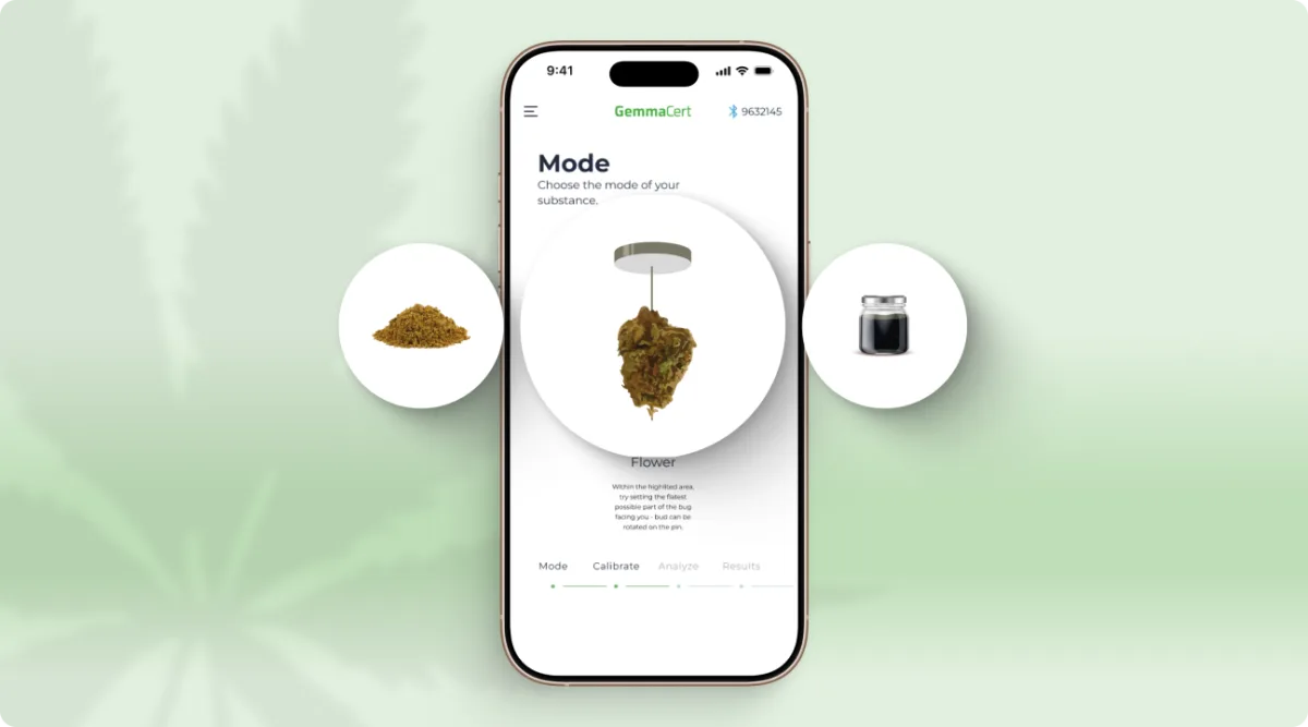 Development of the main screen of a mobile application